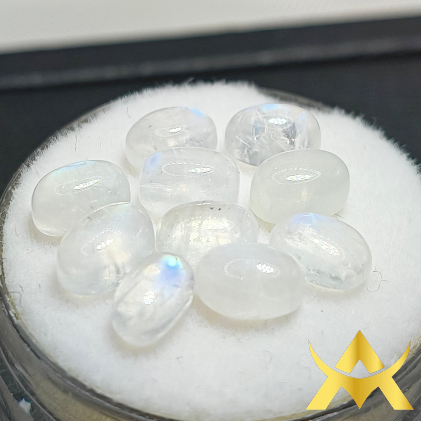 Natural Moonstone 10 pcs Lot, Cabochon Cut, Translucent and Not Enhanced