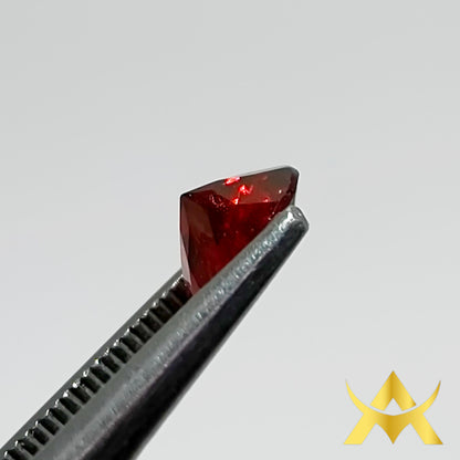 Garnet 0.89 ct. Transparent, Not Enhanced with IF Clarity and Excellent Cut Grade